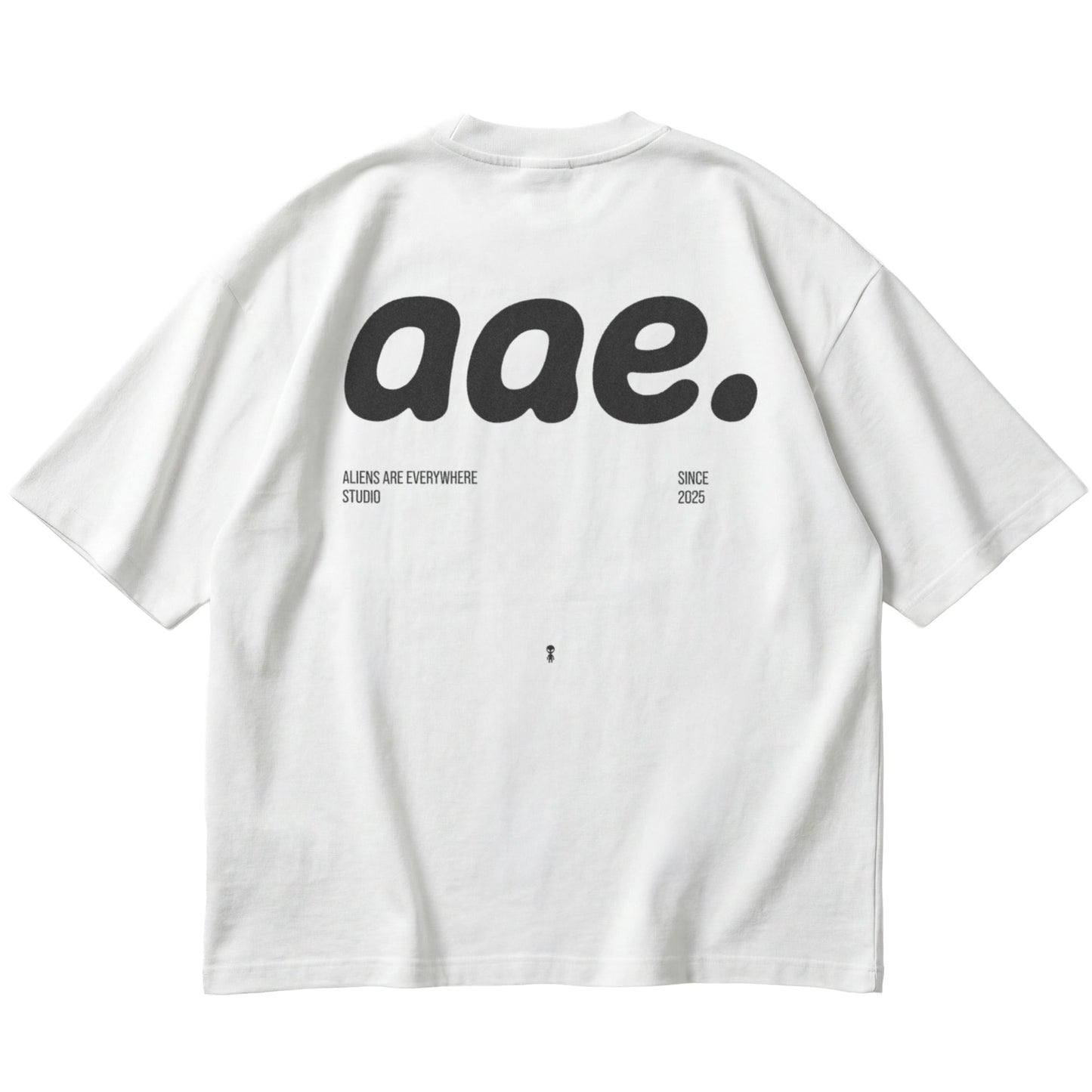 aae Oversize T-Shirt