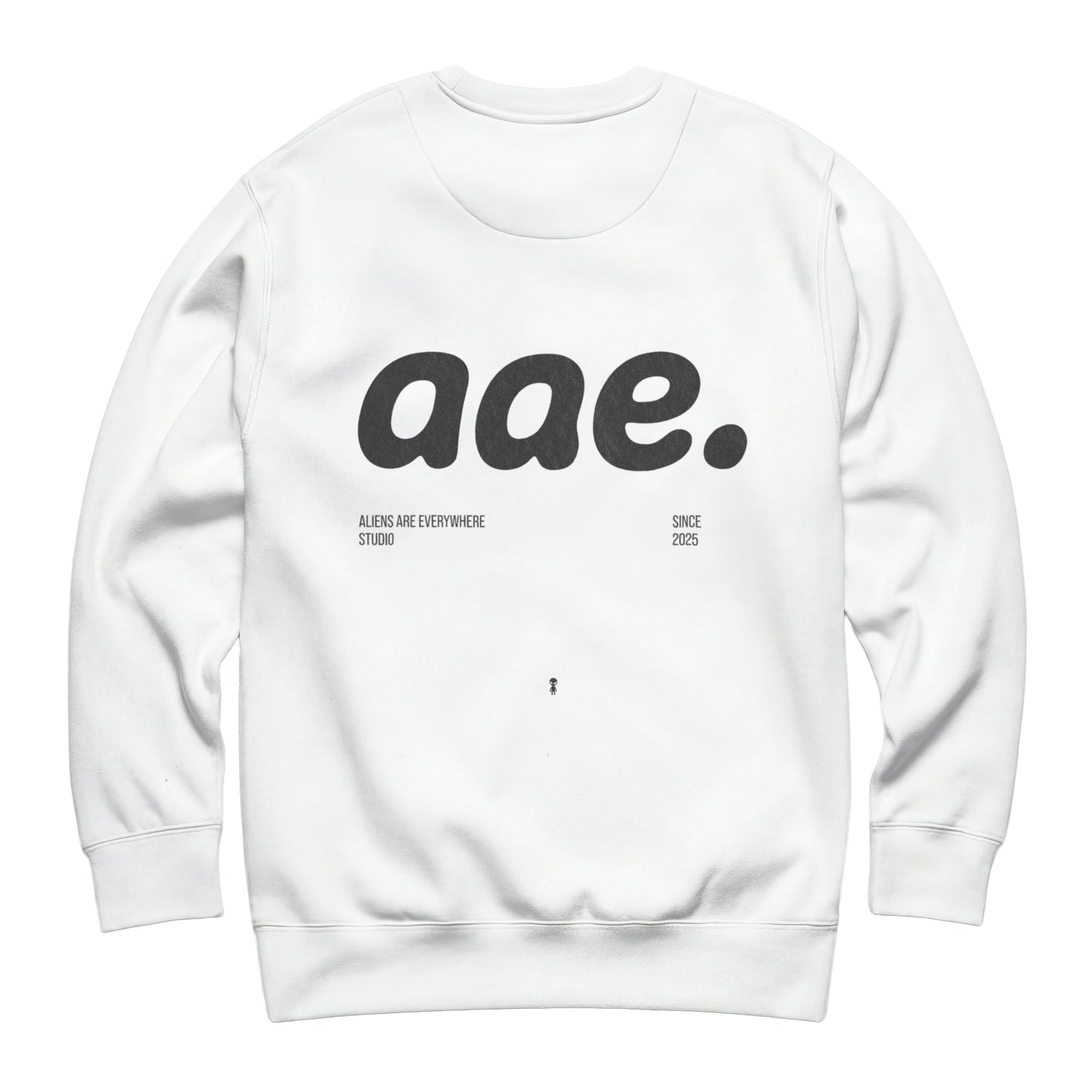 aae Oversize Sweatshirt