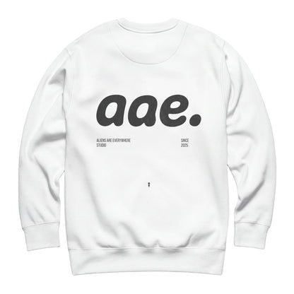 aae Oversize Sweatshirt