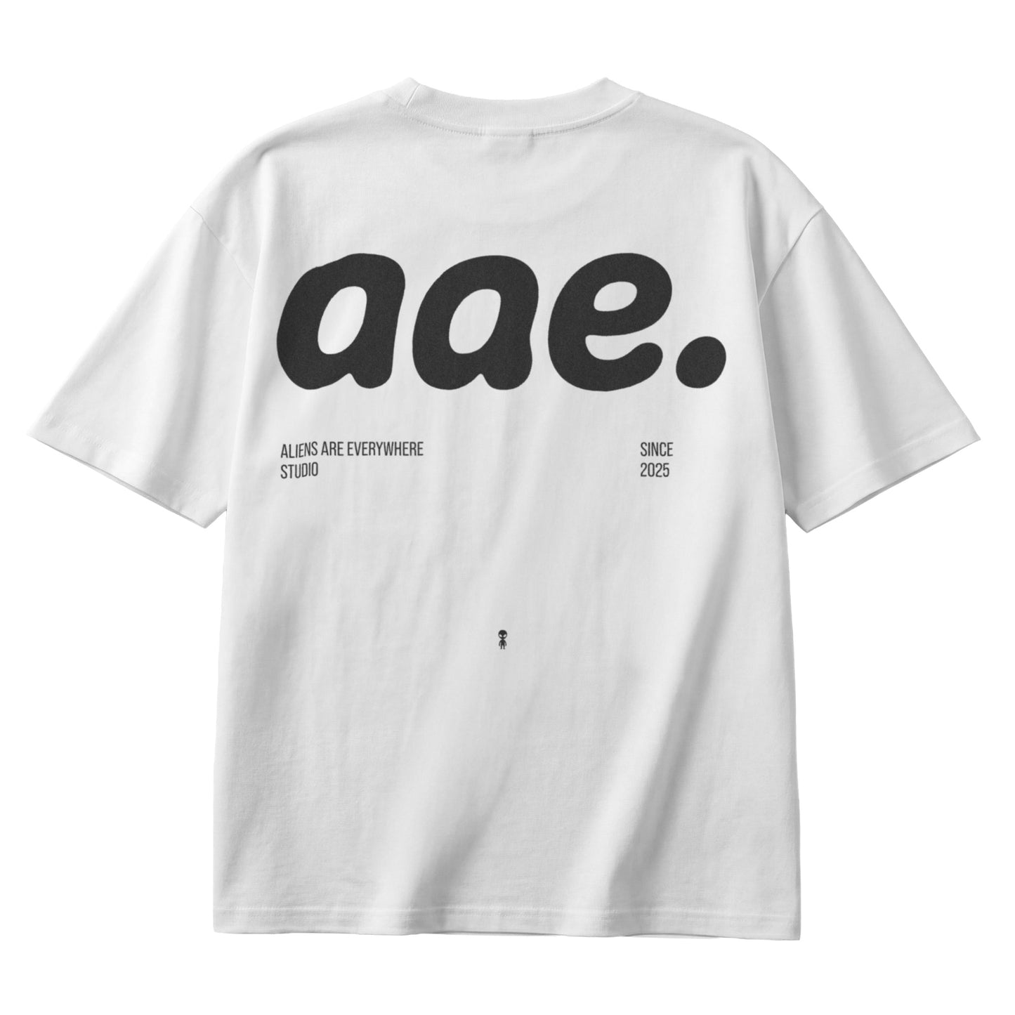 aae Regular T-Shirt