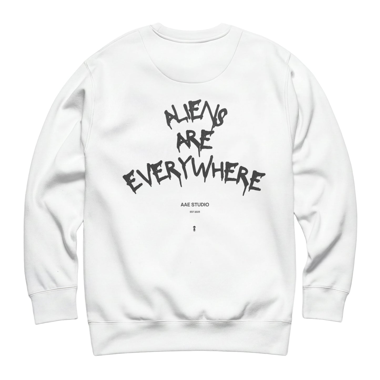 Graffiti AAE Sweatshirt