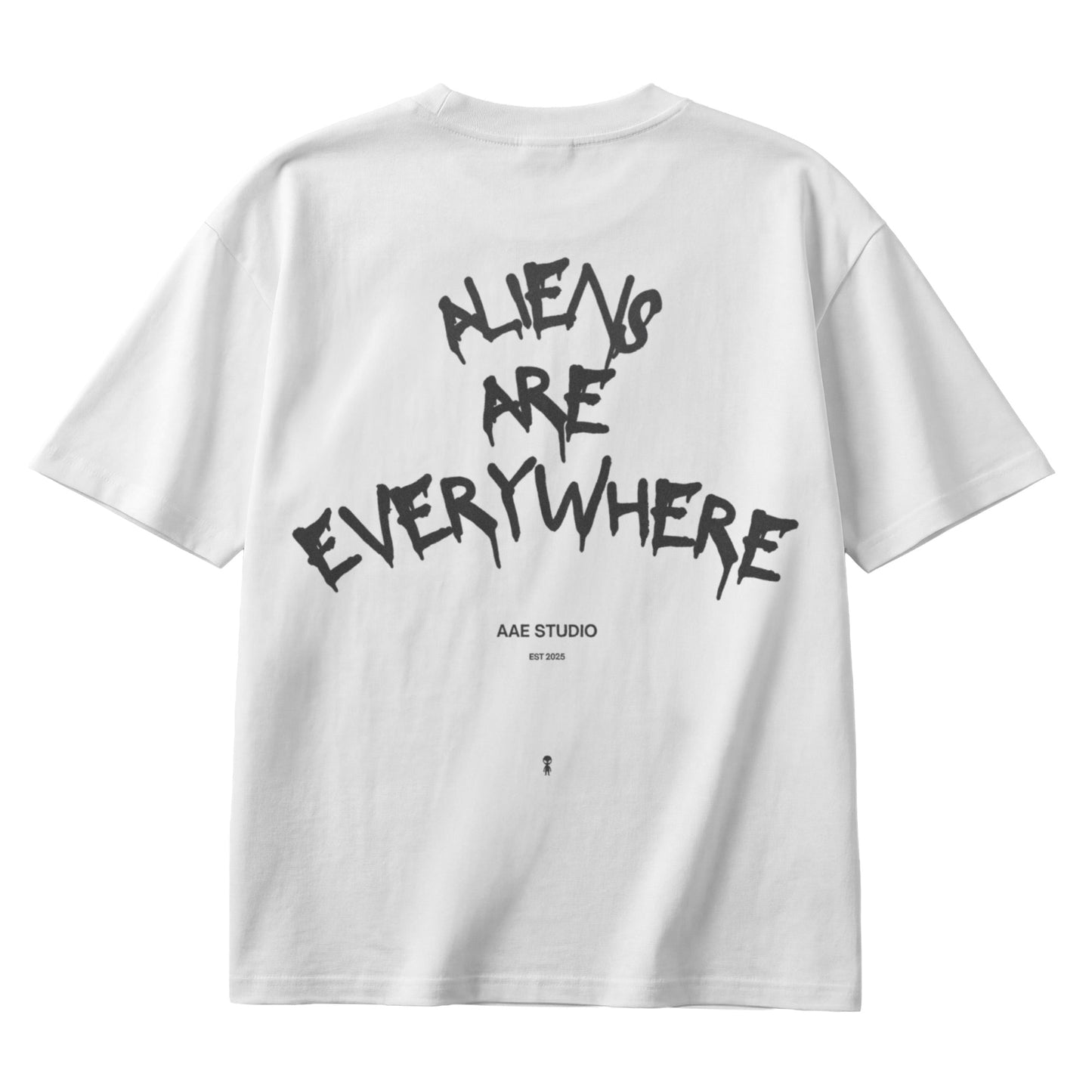 Graffiti AAE Regular T-Shirt